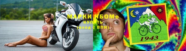 шишки Армянск