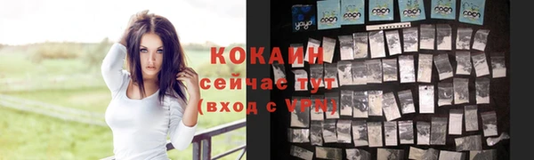 шишки Армянск