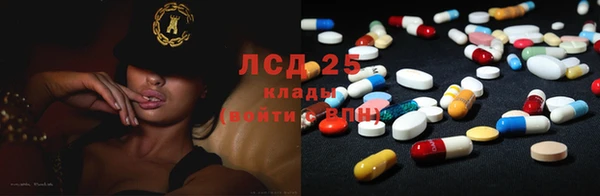 шишки Армянск