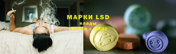 jwh Аркадак