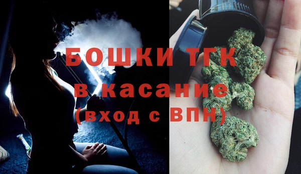 тгк Арсеньев