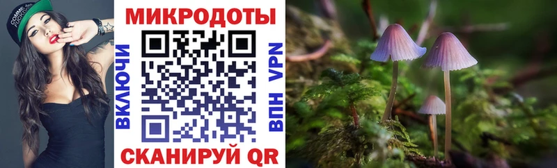 Псилоцибиновые грибы прущие грибы  купить   ОМГ ОМГ зеркало  Приволжск 